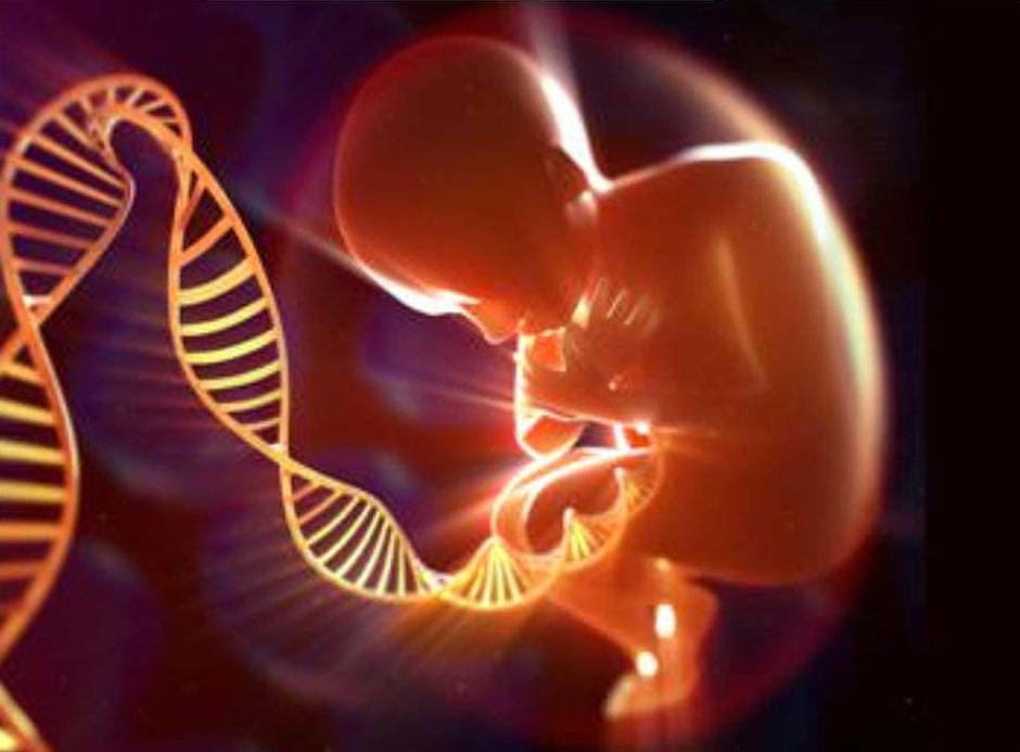 Fator Transgeracional